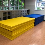 STARCO RUMAT230 柔道墊, 符合IJF標準, 技擊運動地墊